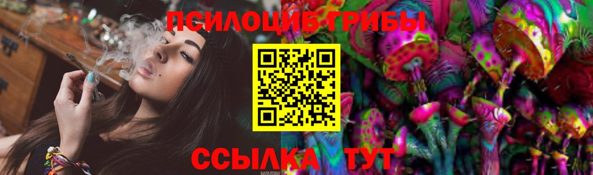 Галлюциногенные грибы Psilocybe Верхняя Салда
