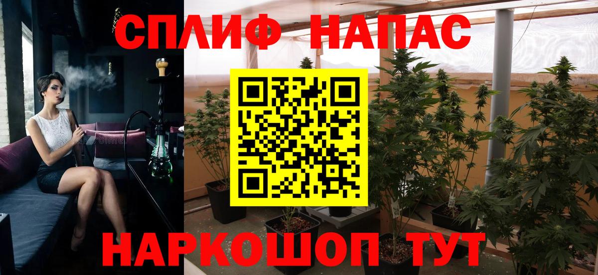 Бошки марихуана Amnesia Верхняя Салда